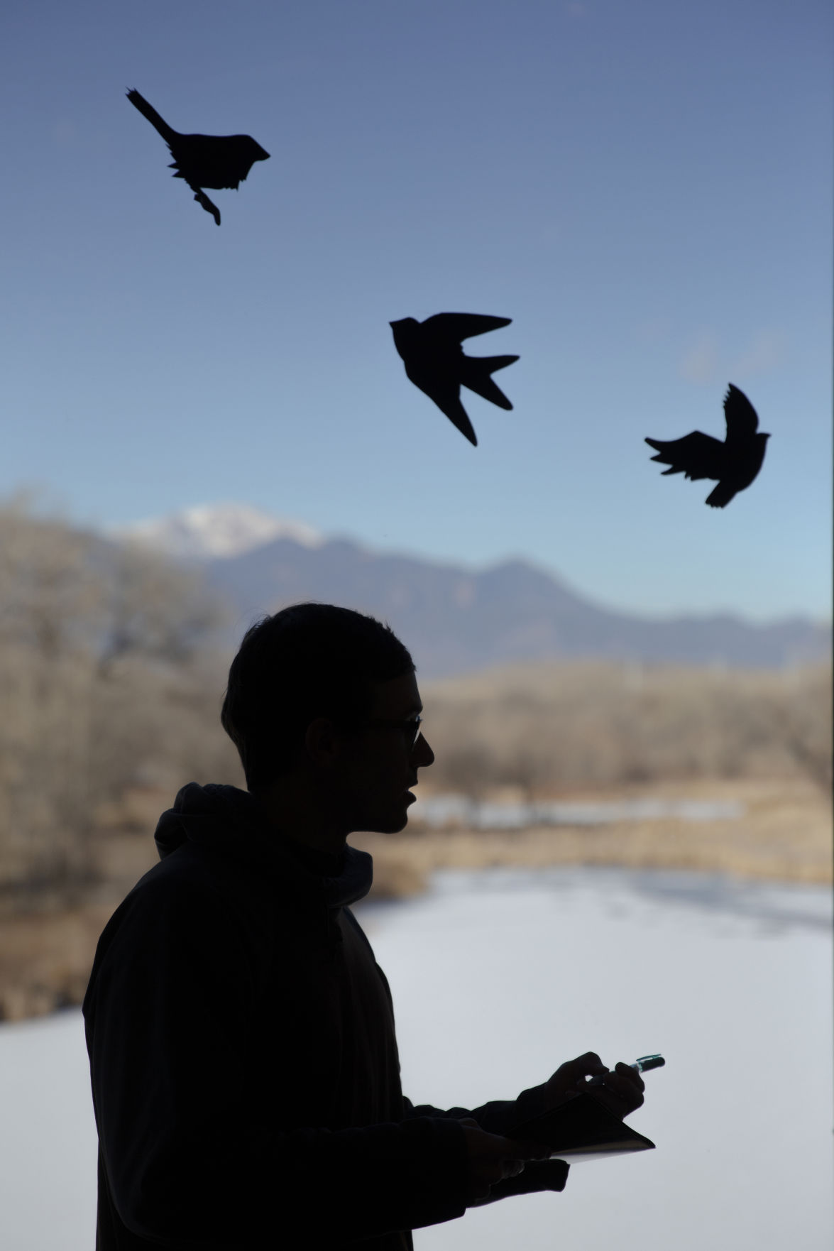 011220-news-birds 02